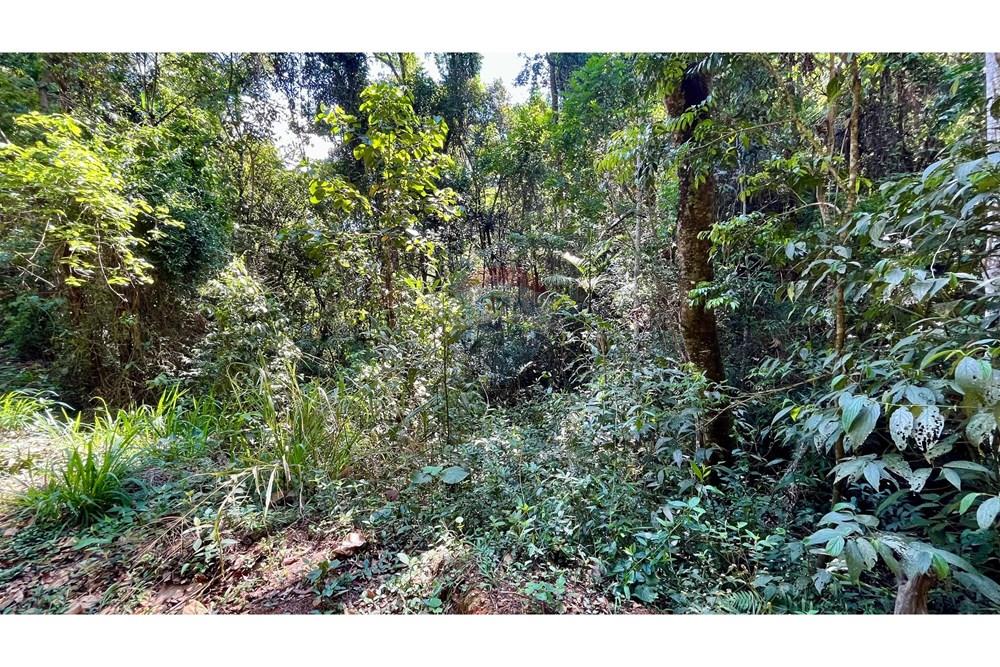 Terreno - Venda - Nova Lima , Minas Gerais - WhatsApp Image 2025-11-04 at 10.48.11 (8).jpeg - 870351032-24