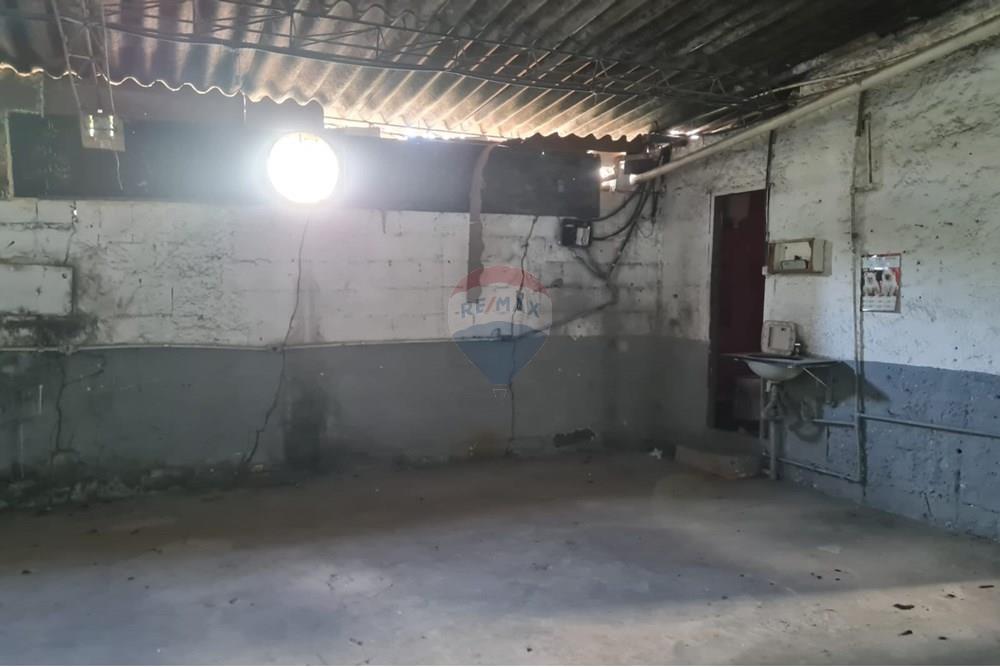 Kommersiell - Lager - Belo Horizonte , Minas Gerais - BR - 33e3a940-8ce7-4edf-9594-0475c7c6a145.jpg - 870701002-41