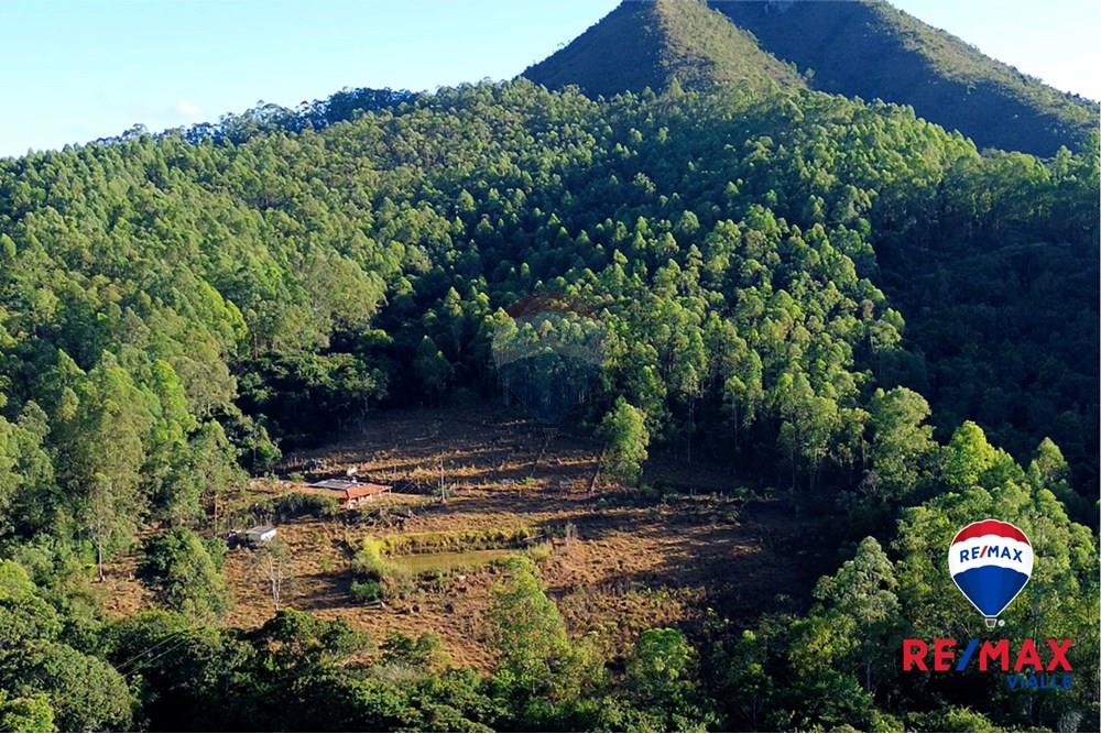 Chácara / Sítio / Fazenda - Venda - São Roque de Minas , Minas Gerais - cd7250ad-d3d5-4acb-8ec1-1fc500d760f5.jpg - 870731003-7
