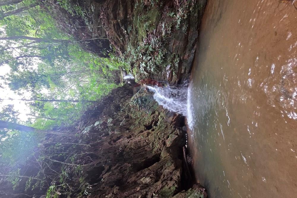 Casa - Venda - Nova Lima , Minas Gerais - 20260328_131348.jpg - 870351021-148