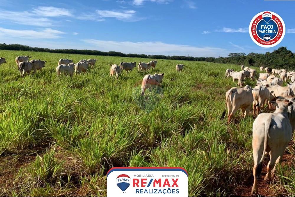 Gyvenamasis - Ferma - Patos de Minas , Minas Gerais - BR - 14.jpg - 870631011-31