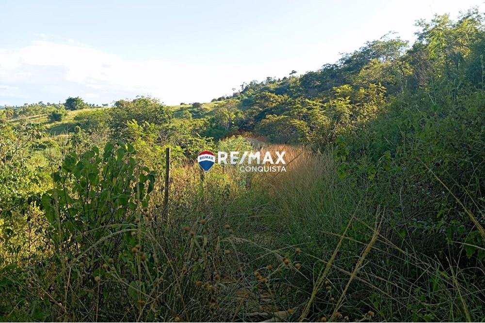 Chácara / Sítio / Fazenda - Venda - Pocrane , Minas Gerais - WhatsApp Image 2025-04-08 at 09.40.30(2).jpeg - 870451001-124