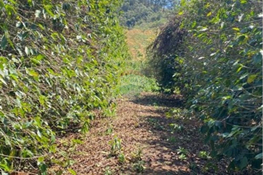 Chácara / Sítio / Fazenda - Venda - Casa Grande , Minas Gerais - WhatsApp Image 2025-11-10 at 11.27.36 (1).jpeg - 870411117-20