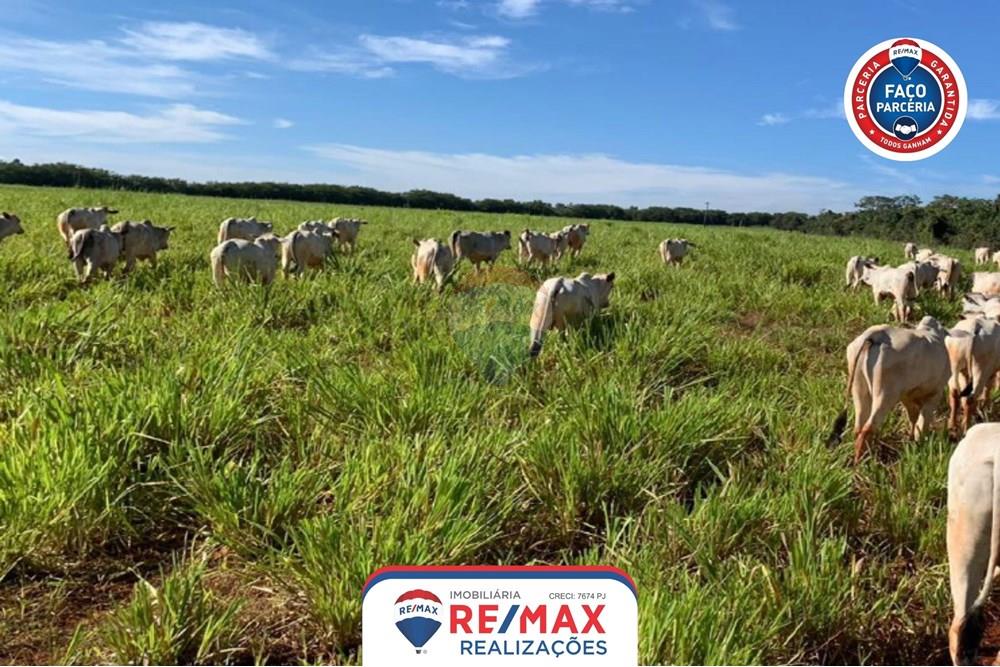 Gyvenamasis - Ferma - Patos de Minas , Minas Gerais - BR - 13.jpg - 870631011-31