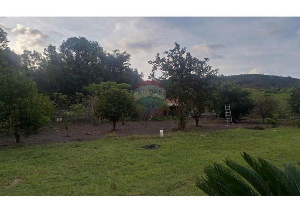Chácara / Sítio / Fazenda - Venda - Araxá , Minas Gerais - 1.jpeg - Layout aberto - 870431058-36