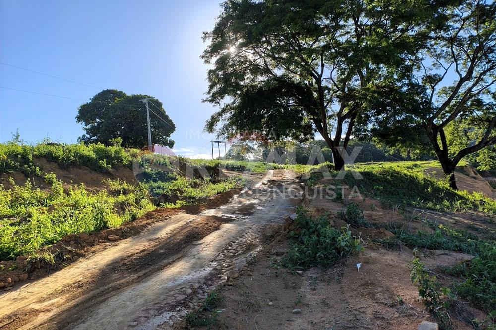 Terreno - Venda - Ipanema , Minas Gerais - 1_image_1_watermark_dom._11012026_132018.jpg - 870451001-161