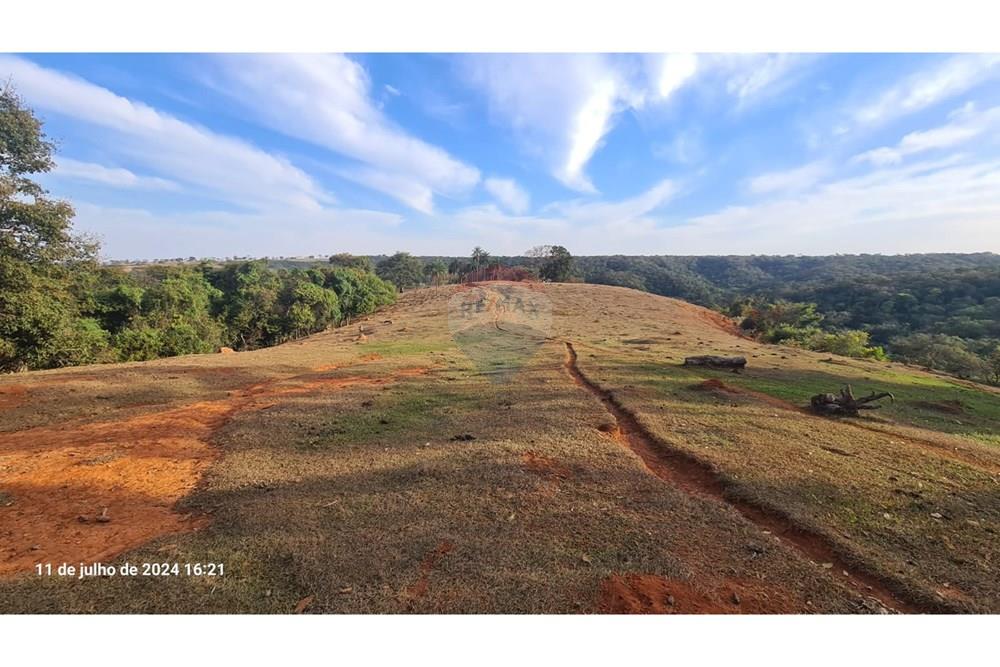 Fazenda - Venda - Uberaba , Minas Gerais - (36).jpeg - 870291025-116