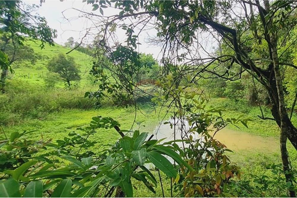 Fazenda - Venda - Pedro Leopoldo , Minas Gerais - WhatsApp Image 2025-12-11 at 16.48.52.jpeg - 870411117-34