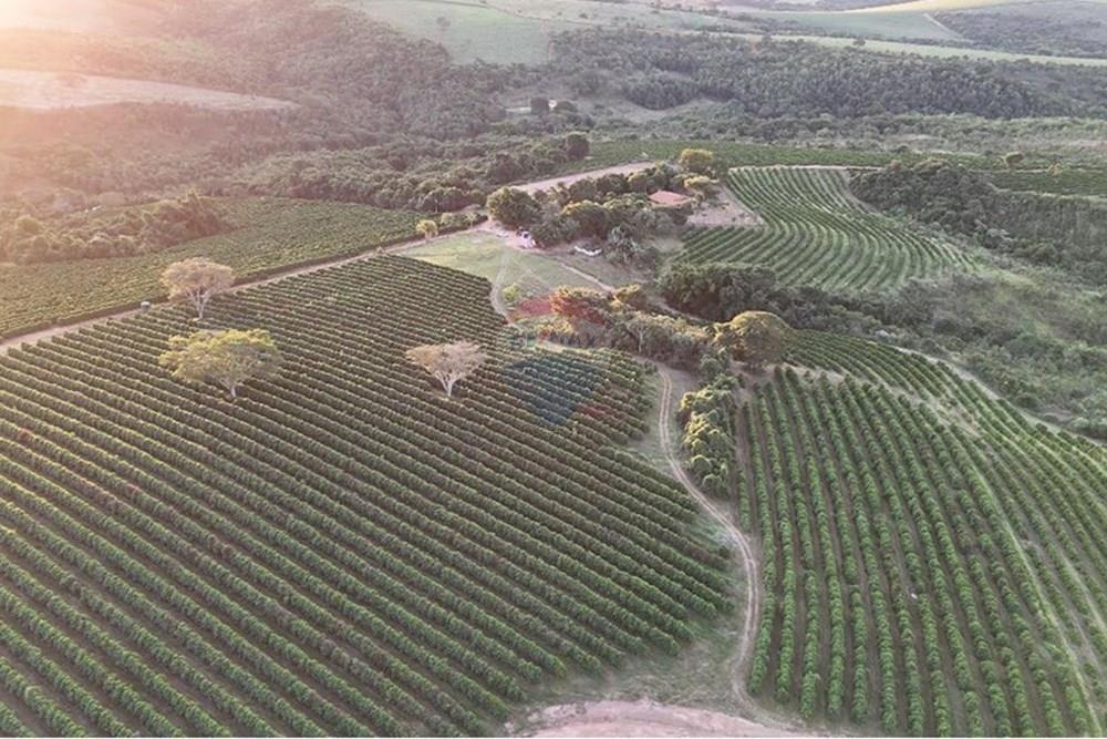 Fazenda - Venda - Ibiá , Minas Gerais - WhatsApp Image 2025-07-07 at 16.26.50 (1).jpeg - 870431012-52