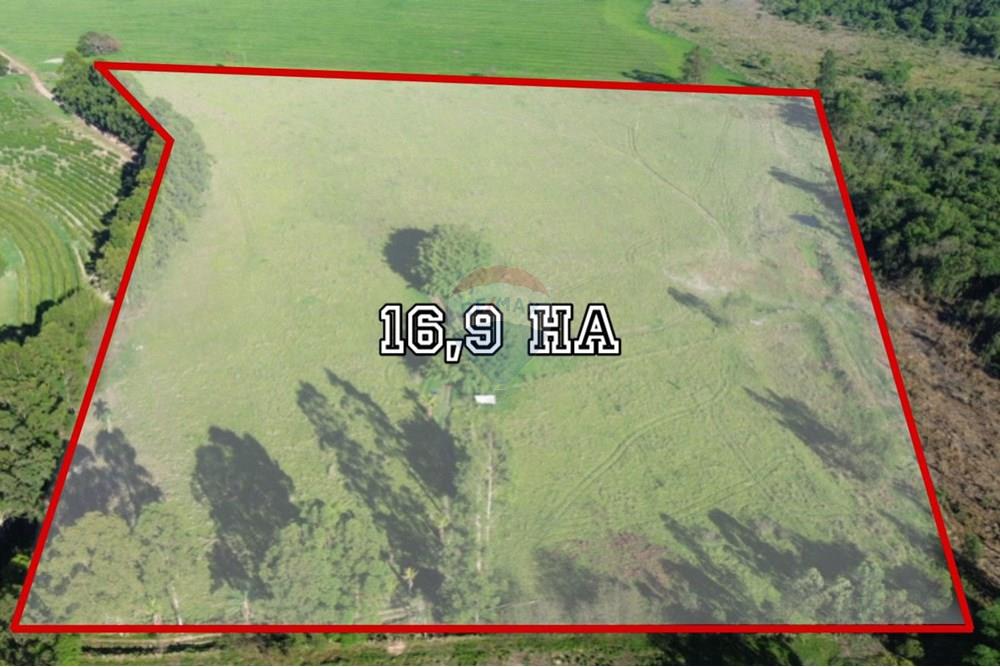 Chácara / Sítio / Fazenda - Venda - Santo Antônio da Alegria , São Paulo - SITIO SANTO ANTONIO- 2.jpeg - 870601027-11