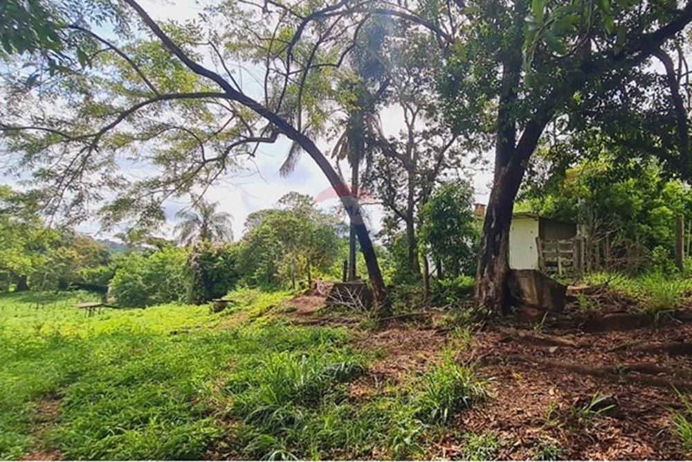 Fazenda - Venda - Pedro Leopoldo , Minas Gerais - WhatsApp Image 2025-12-11 at 16.48.38.jpeg - 870411117-34