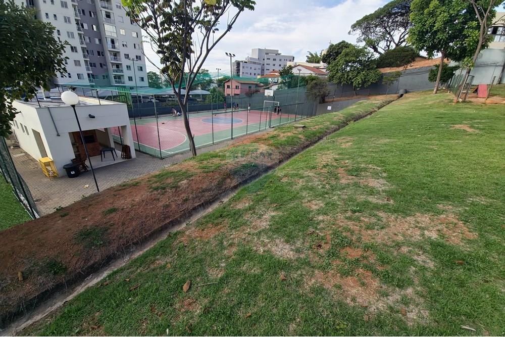 Apartamento - Alugar - Belo Horizonte , Minas Gerais - 20251129_164608.jpg - 870241078-61