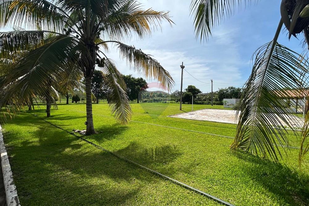 Chácara / Sítio / Fazenda - Venda - Alpercata , Minas Gerais - 20.jpeg - 870671001-168