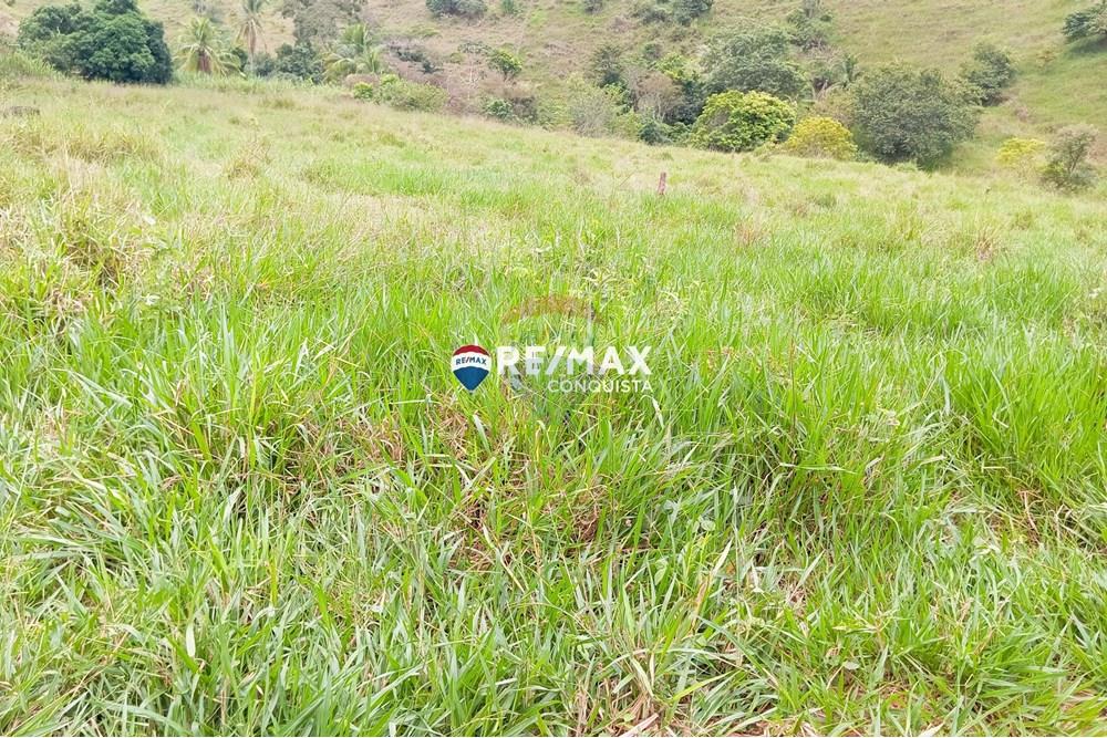 Terreno - Venda - Taparuba , Minas Gerais - 2_image_2_watermark_sex._02052025_101919.jpg - 870451001-127