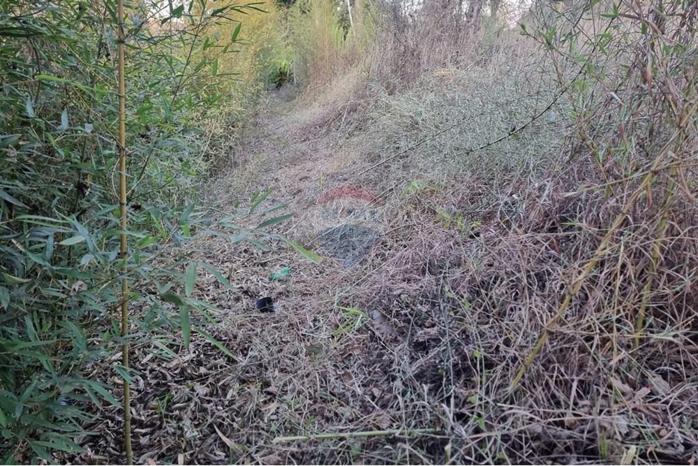 Terreno - Venda - Nova Lima , Minas Gerais - Foto 7.jpg - 870421084-16