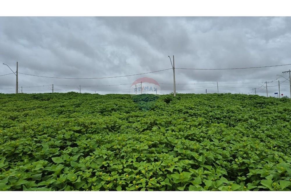 Terreno - Venda - Araxá , Minas Gerais - RODRIGO 7.jpeg - 870431054-10