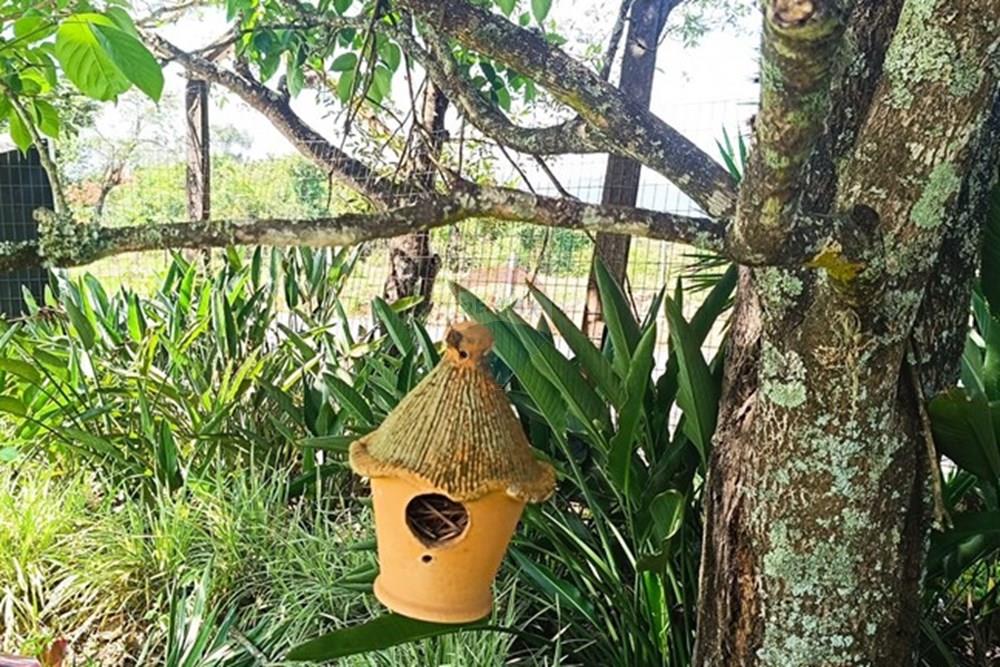 Terreno - Venda - Brumadinho , Minas Gerais - WhatsApp Image 2025-11-20 at 10.07.24 (1).jpeg - 870421014-349