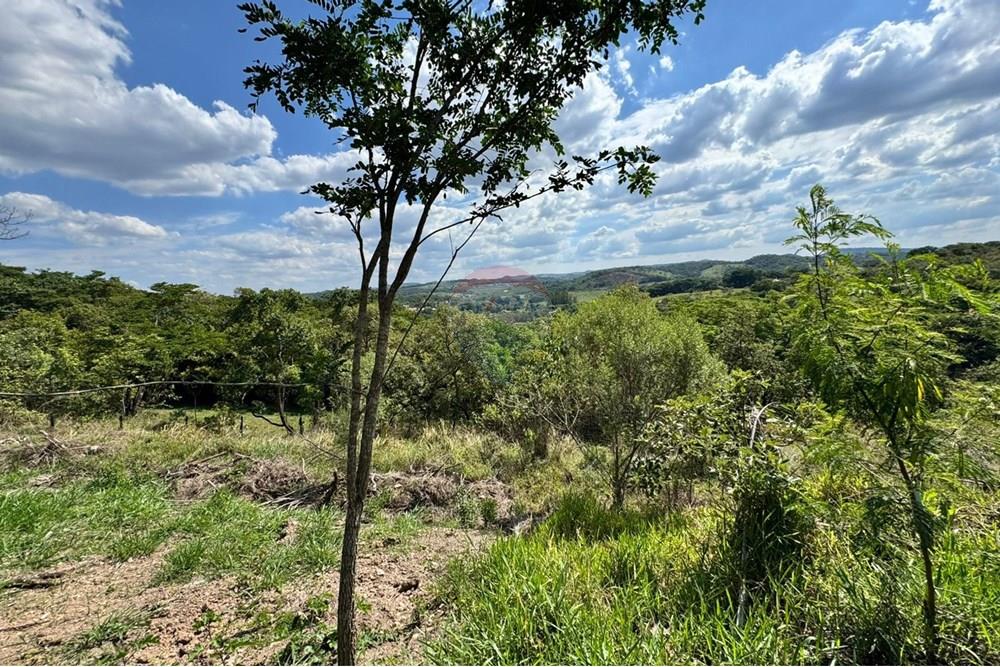 Terreno - Venda - Brumadinho , Minas Gerais - WhatsApp Image 2025-11-20 at 10.09.10.jpeg - 870421014-352