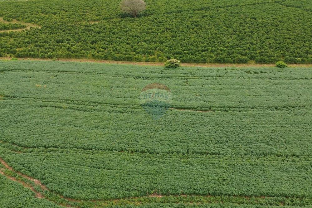 Fazenda - Venda - Araxá , Minas Gerais - 25.JPG - Fachada - 870431045-58