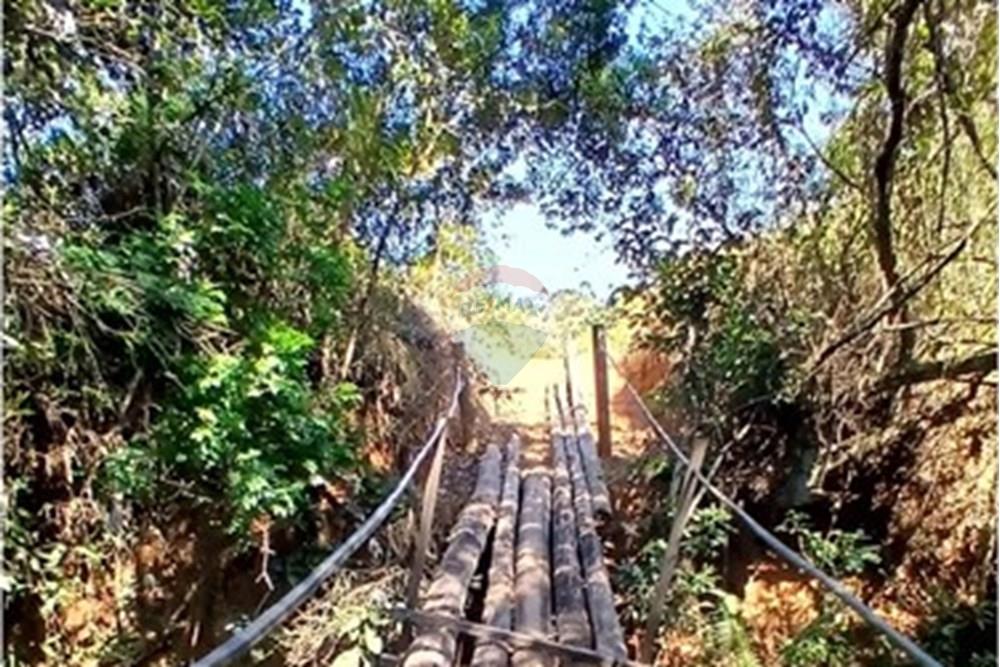 Chácara / Sítio / Fazenda - Venda - Piumhi , Minas Gerais - 20250816_110828.jpg - 870411101-9