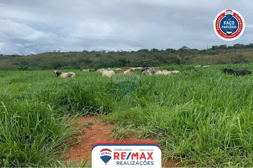 Gyvenamasis - Ferma - Patos de Minas , Minas Gerais - BR - 20.jpg - 870631011-31