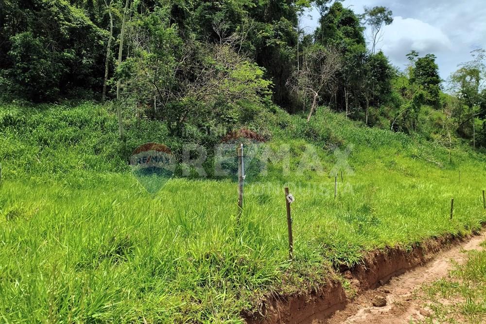 Chácara / Sítio / Fazenda - Venda - Taparuba , Minas Gerais - 5_image_5_watermark_ter._17022026_130644.jpg - 870451001-165
