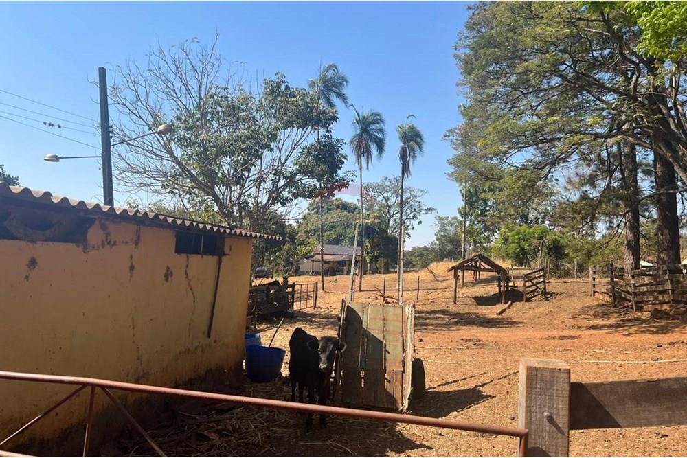 Fazenda - Venda - Uberaba , Minas Gerais - 09 Fazenda Venda R$ 4.500.000 em Uberaba na Remax 870291025-114.jpeg - 870291025-118