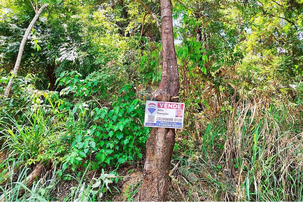 Terreno - Venda - Vespasiano , Minas Gerais - IMG_20251130_125614.jpg - 870251115-3