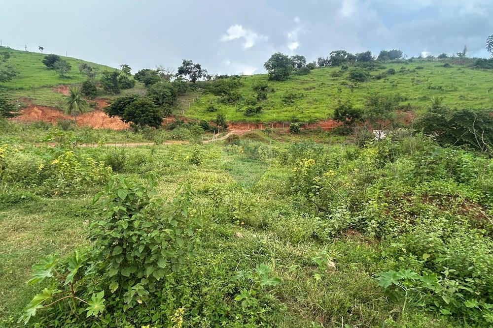 Chácara / Sítio / Fazenda - Venda - Alpercata , Minas Gerais - IMG_5645.jpg - 870671001-154