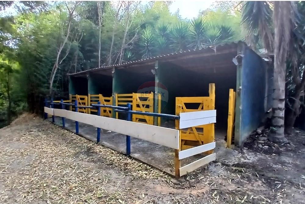 Chácara / Sítio / Fazenda - Venda - Matozinhos , Minas Gerais - 20250903_155818.jpg - 870411101-11