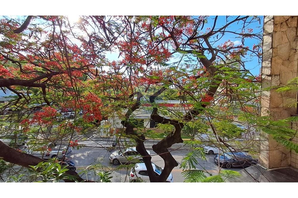 Apartamento - Venda - Belo Horizonte , Minas Gerais - WhatsApp Image 2025-12-02 at 15.58.18.jpeg - 870251125-15