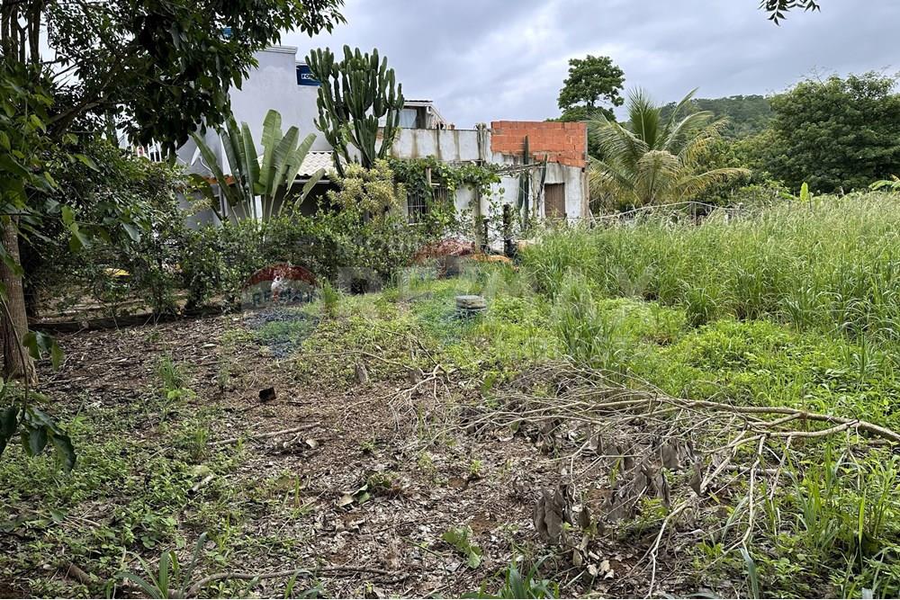 Chácara / Sítio / Fazenda - Venda - Ipanema , Minas Gerais - 7_image_7_watermark_ter._23122025_141228.jpg - 870451001-159