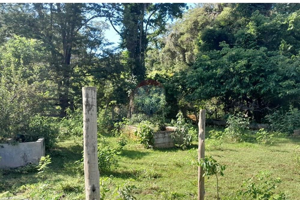 Terreno - Venda - Lagoa Santa , Minas Gerais - FOTO3 FAZENDA .jpg - 870421119-51