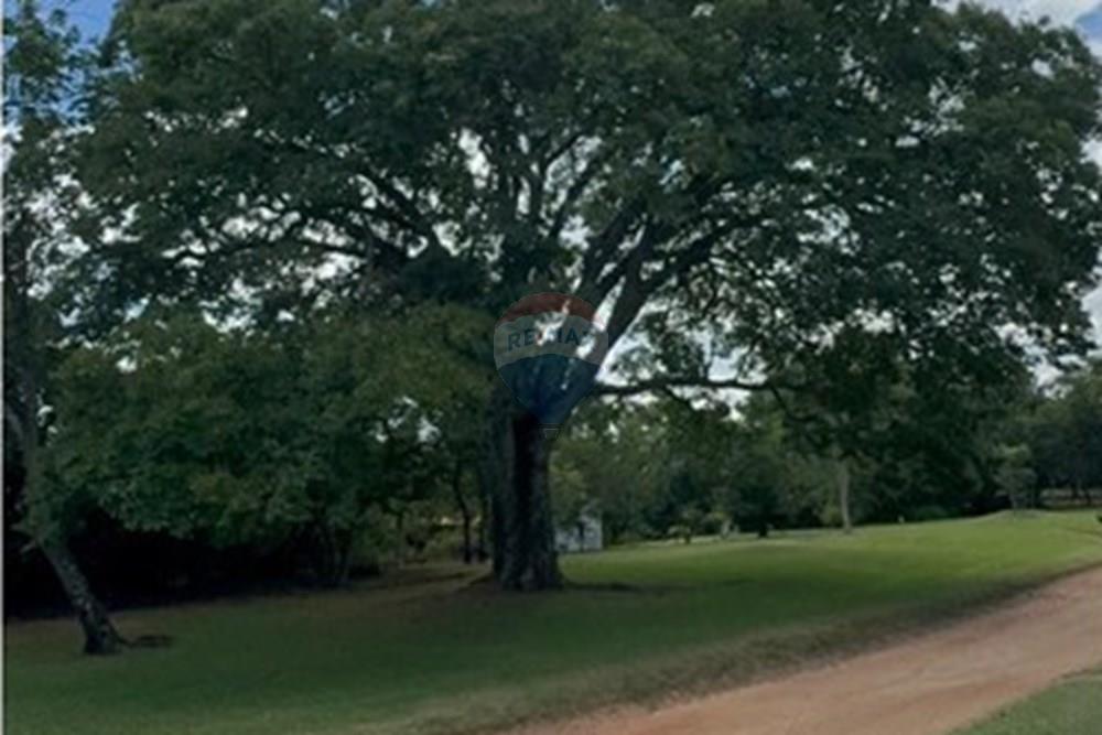 Terreno - Venda - Delfinópolis , Minas Gerais - WhatsApp Image 2026-01-28 at 16.09.15 (2).jpeg - 870721005-34