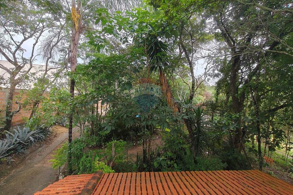 Chácara / Sítio / Fazenda - Venda - Santa Luzia , Minas Gerais - IMG20251220091905.jpg - 870421007-51