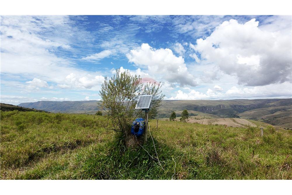 Fazenda - Venda - São Roque de Minas , Minas Gerais - 18 - 870431039-47