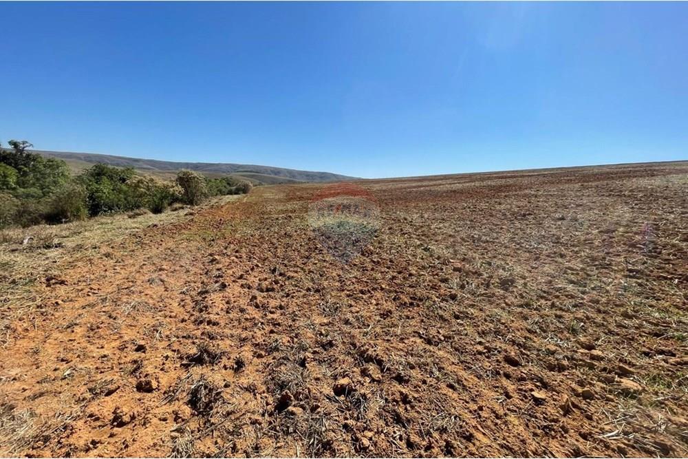 Chácara / Sítio / Fazenda - Venda - Araxá , Minas Gerais - José Cunha Oliveira Fazenda  Colina foto 6.jpg - 870431004-117