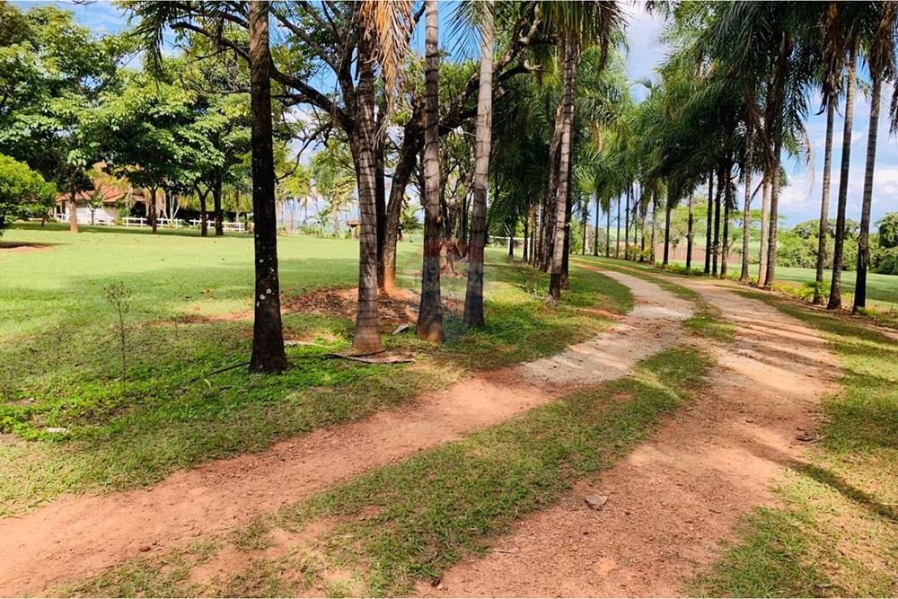 Chácara / Sítio / Fazenda - Venda - Delfinópolis , Minas Gerais - WhatsApp Image 2026-02-04 at 08.04.04 (1).jpeg - 870721005-35