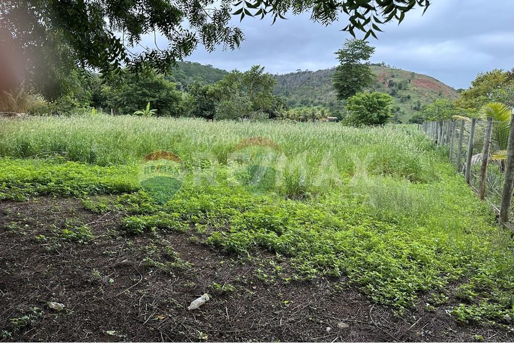 Chácara / Sítio / Fazenda - Venda - Ipanema , Minas Gerais - 1_image_1_watermark_ter._23122025_141336.jpg - 870451001-159