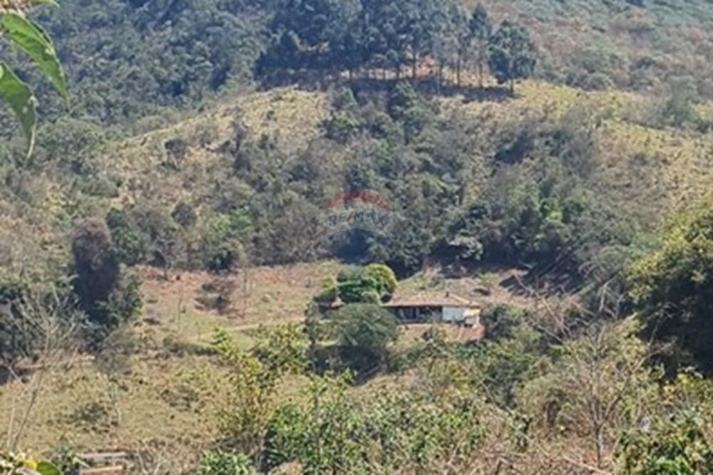 Chácara / Sítio / Fazenda - Venda - Casa Grande , Minas Gerais - foto 23.jpeg - 870411117-20