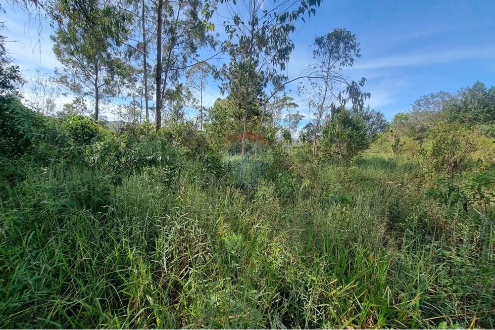 Terreno - Venda - Nova Lima , Minas Gerais - 26.jpeg - 870421084-16