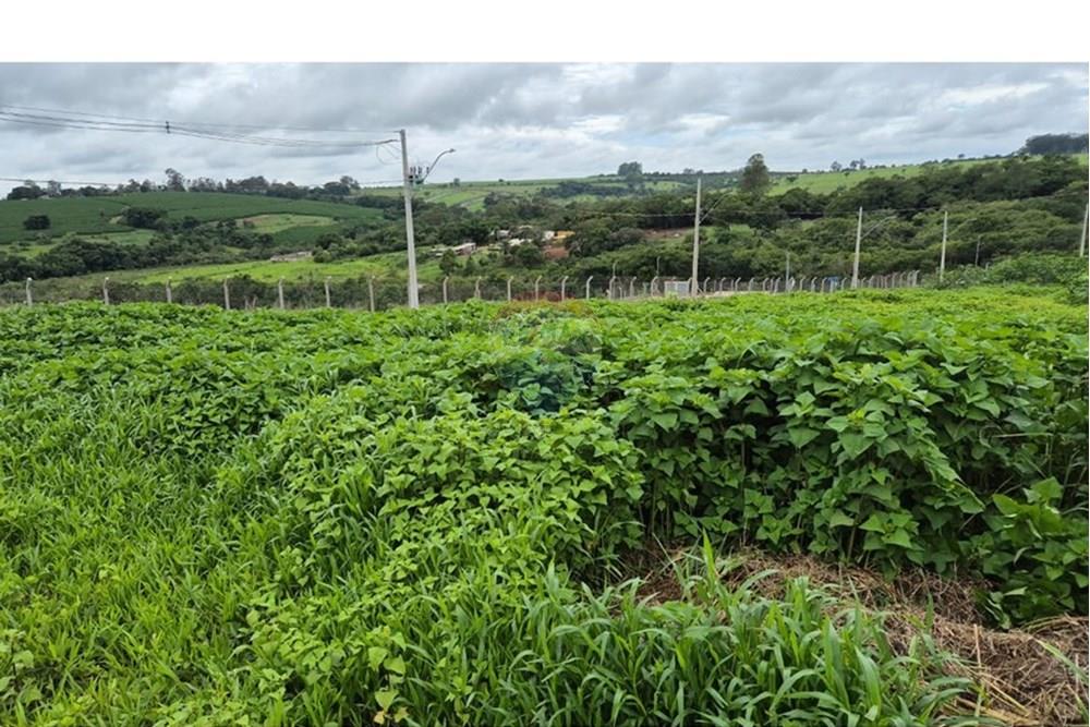 Terreno - Venda - Araxá , Minas Gerais - RODRIGO 12.jpeg - 870431054-10