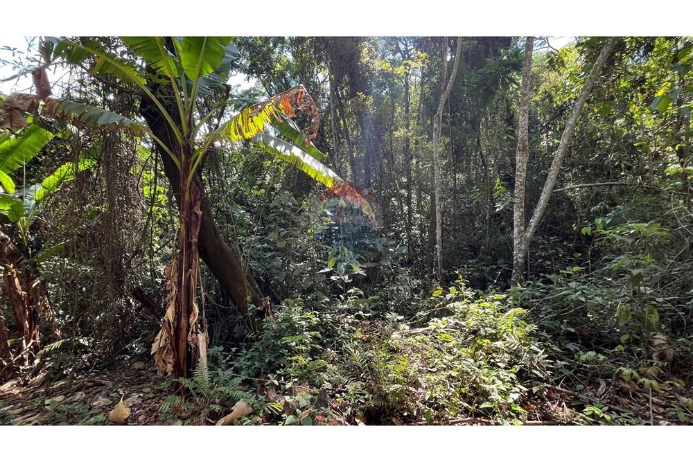 Terreno - Venda - Nova Lima , Minas Gerais - WhatsApp Image 2025-11-04 at 10.48.11 (3).jpeg - 870351032-24