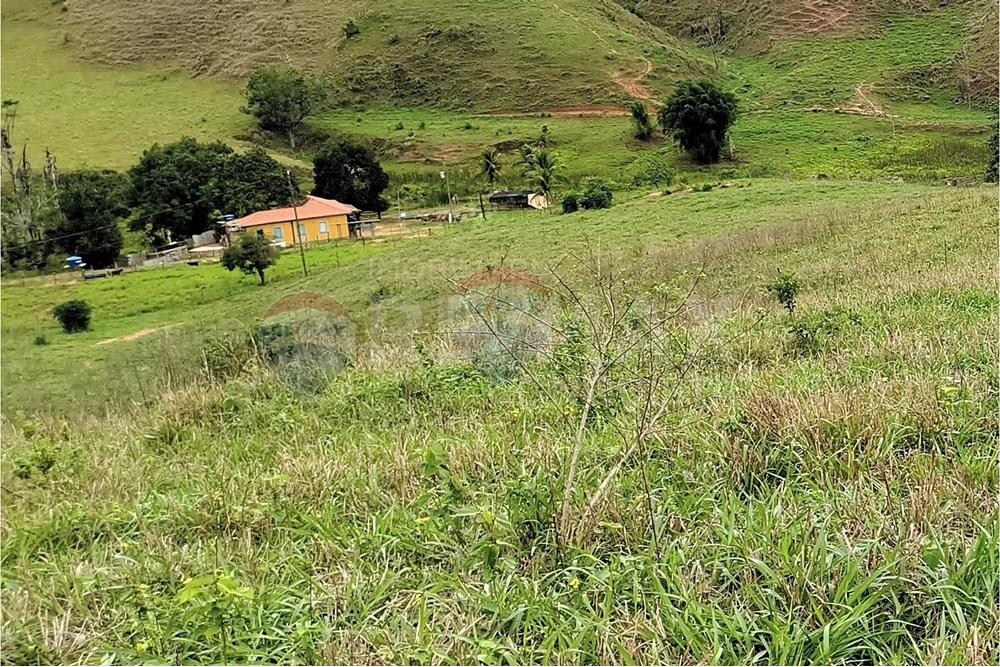 Chácara / Sítio / Fazenda - Venda - Ipanema , Minas Gerais - 0_image_0_watermark_qui._20112025_124801.jpg - 870451013-80