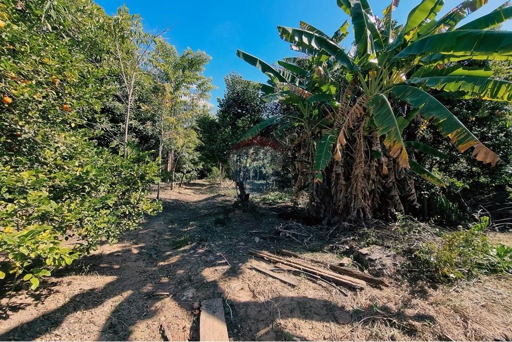 Chácara / Sítio / Fazenda - Venda - São Sebastião do Paraíso , Minas Gerais - 13.jpeg - 870601029-108