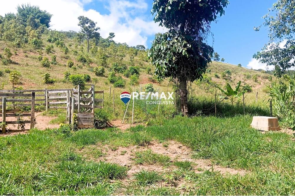 Chácara / Sítio / Fazenda - Venda - Conceição de Ipanema , Minas Gerais - 5_image_5_watermark_sáb._12042025_141556.jpg - 870451013-61