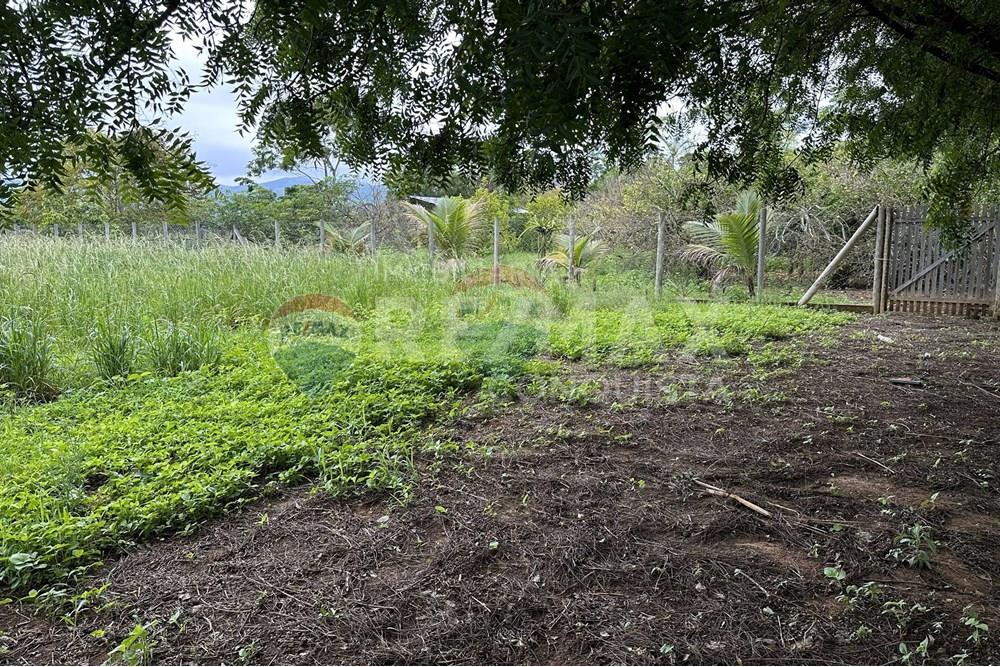 Chácara / Sítio / Fazenda - Venda - Ipanema , Minas Gerais - 1_image_1_watermark_ter._23122025_141301.jpg - 870451001-159