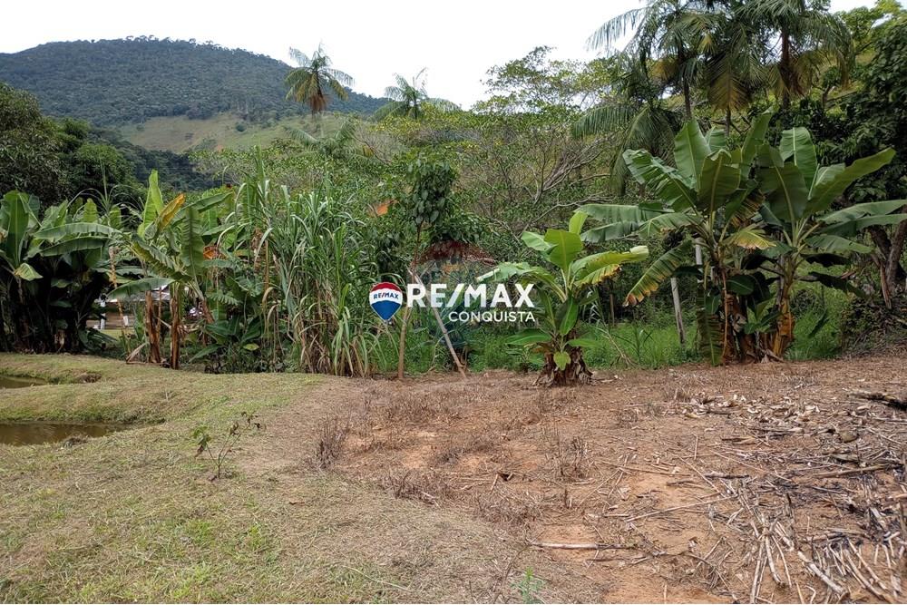 Chácara / Sítio / Fazenda - Venda - Ipanema , Minas Gerais - 0_image_0_watermark_seg._12052025_100310.jpg - 870451004-100