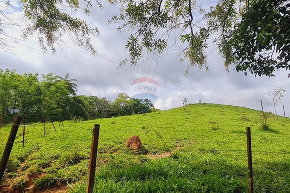 Fazenda - Venda - Pedro Leopoldo , Minas Gerais - WhatsApp Image 2025-12-11 at 16.48.41.jpeg - 870411117-34