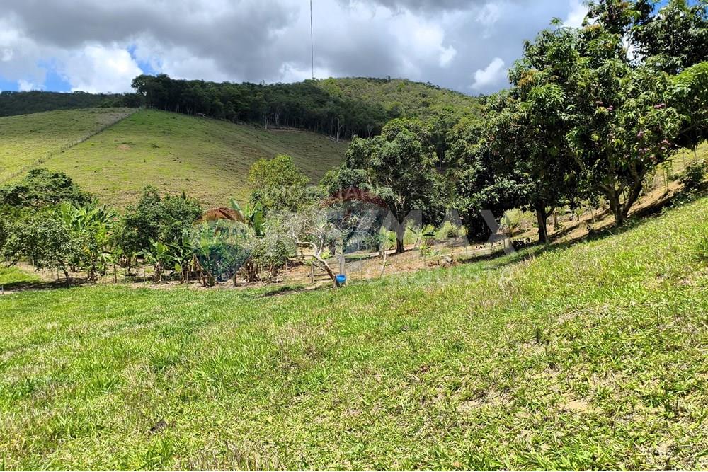 Chácara / Sítio / Fazenda - Venda - Taparuba , Minas Gerais - 2_image_2_watermark_sex._19122025_102306.jpg - 870451001-158